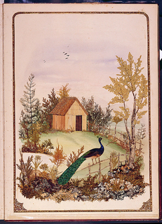 Ephemera, Album Pintoresco Herbario