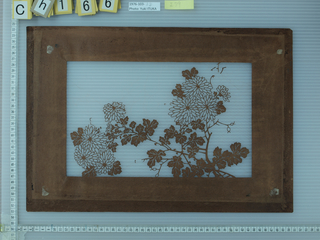 Katagami, Chrysanthemums