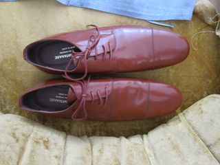 Shoes, The Shoes That Slow Down Time