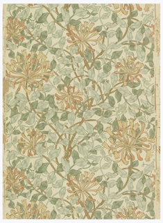 Sidewall, Honeysuckle