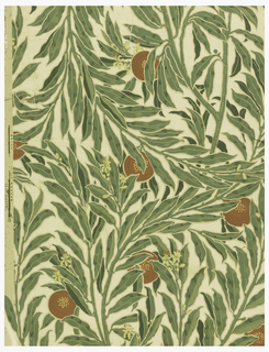 Sidewall, The Orange Tree