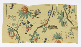 Sidewall (possibly France)