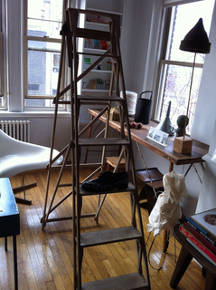 Ladder, Maira Kalman's Ladder