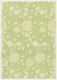 Sidewall, Wild Tulip