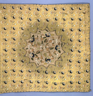 Shawl (India)