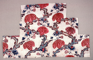 Chintz Fragment (India)