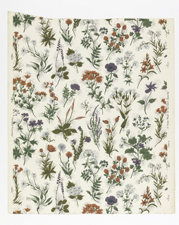 Sidewall, Garden Flowers