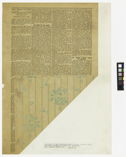 Sidewall, The Daily Citizen