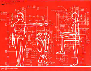 Wall Graphic, Humanscale: Measurements of 2.5, 50, and 97.5 Percentile U.S. Females