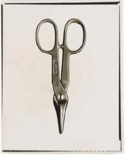 Photograph, Tin Snips, by J. Wiss and Sons Co., $1.85