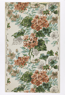 Sidewall, Rose Geranium