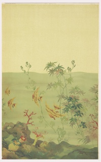 Scenic, Sea Beauties