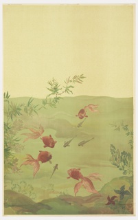 Scenic, Sea Beauties