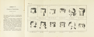 Foldout, The Art of Tying the Cravat: Demonstrated in Sixteen Lessons, Including Thirty-two Different Styles . . . , Lesson IV: Cravate à l’Américaine and Plate C: Cravat Styles