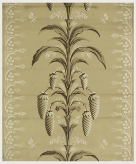 Sidewall (possibly France)