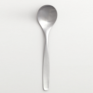 American Modern Spoon
