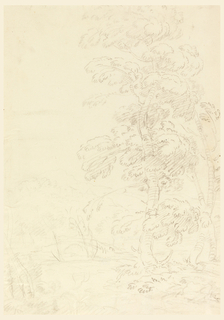 Drawing, Tree in Landscape