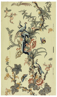 Sidewall, La Jeunesse de la Journee