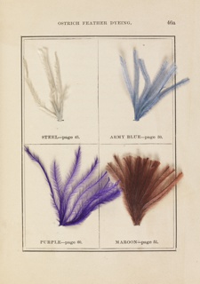Book, The Practical Ostrich Feather Dyer