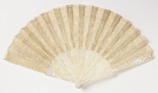 Pleated Fan And Case
