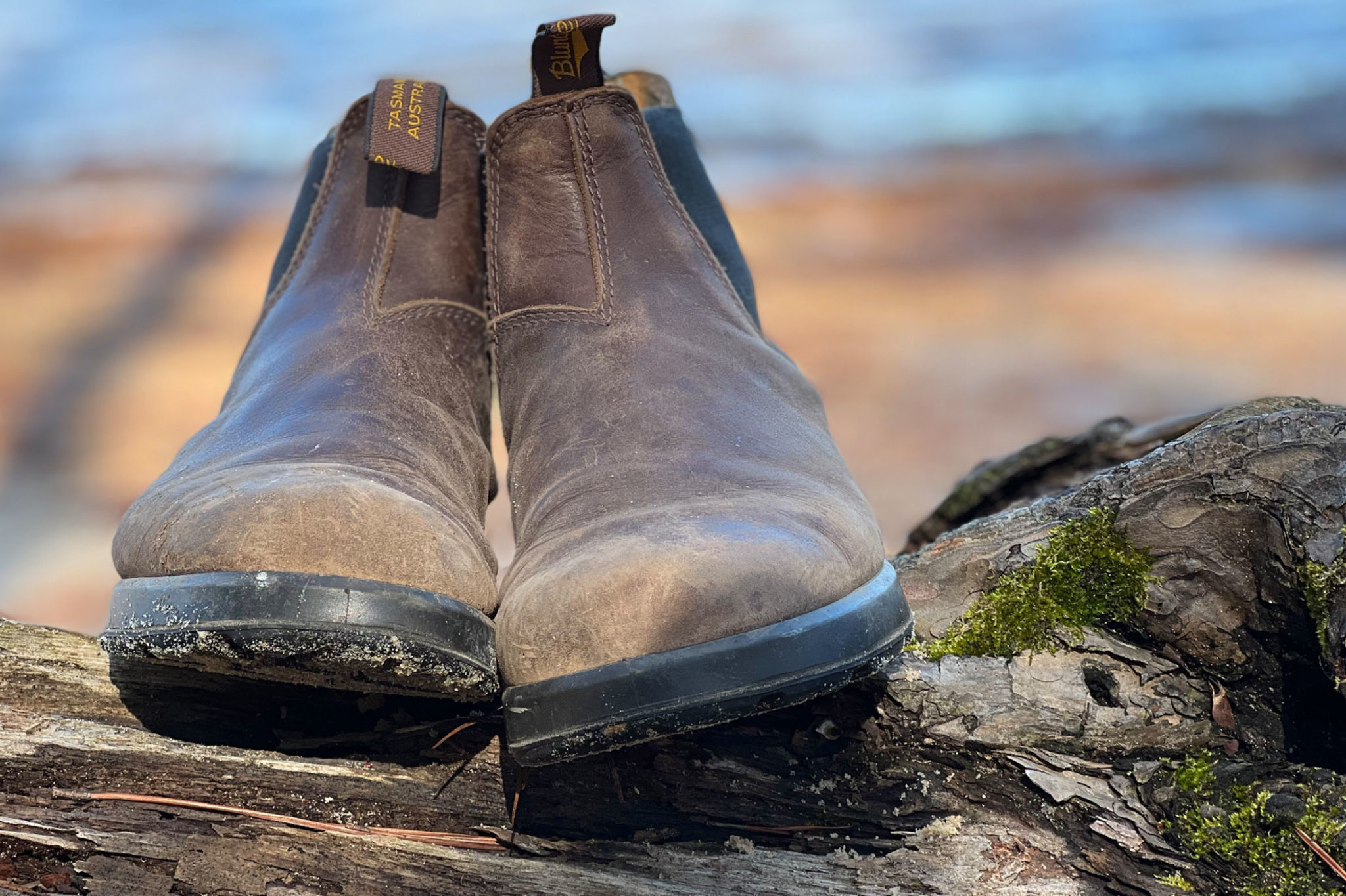 Blundstone All-Terrain Boot Review