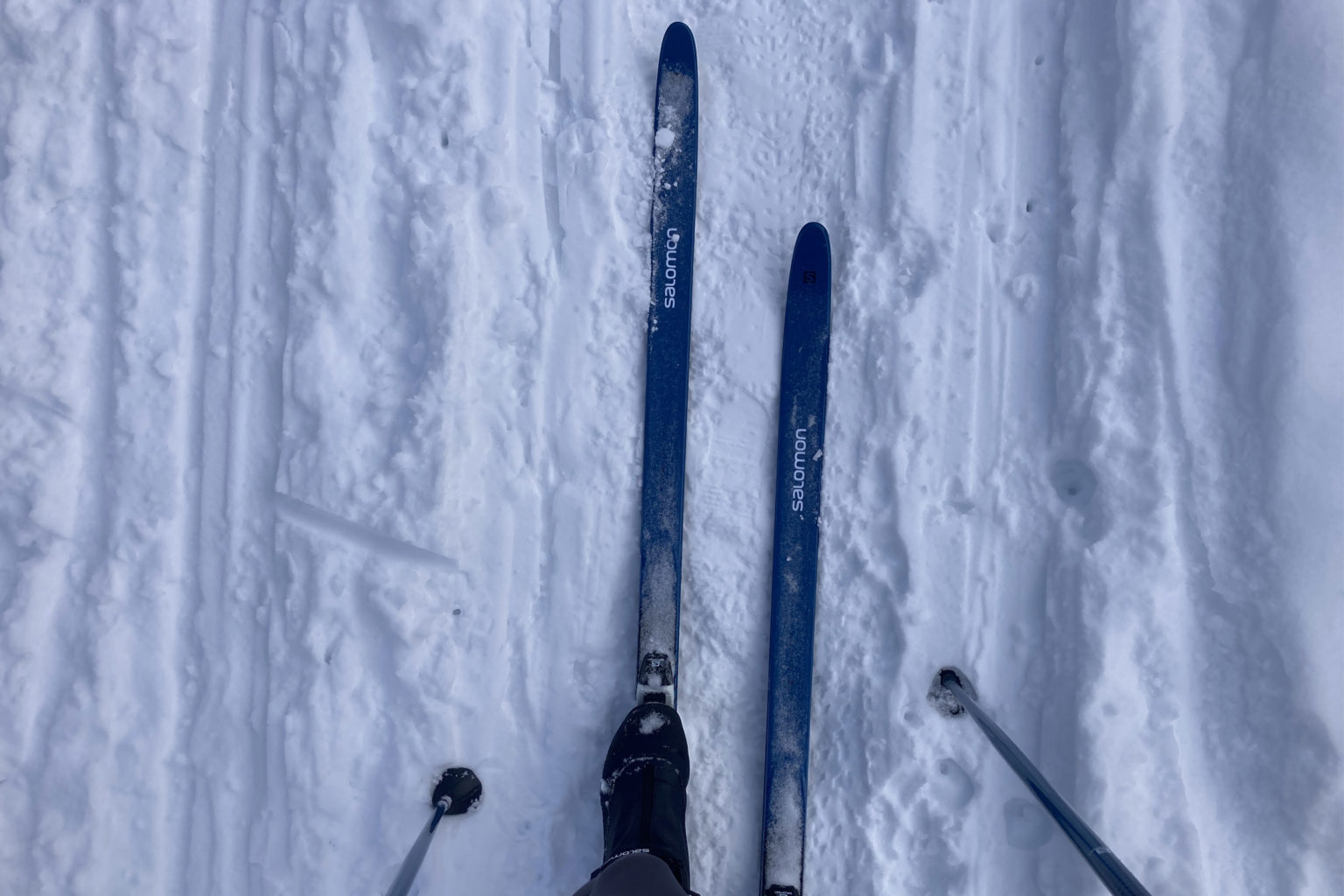Salomon Snowscape 7 Posigrip XC Skis Review Ditch the Wax and Hit the