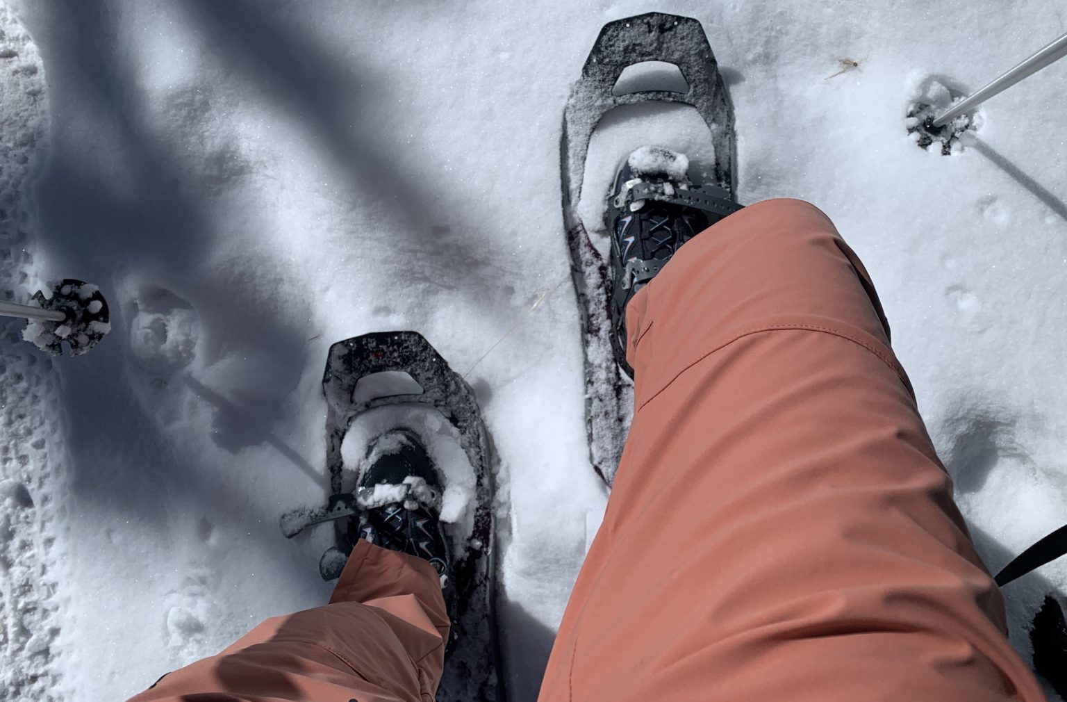 Maloja DachsM Softshell Pants Review Softshell Pants for Hardcore