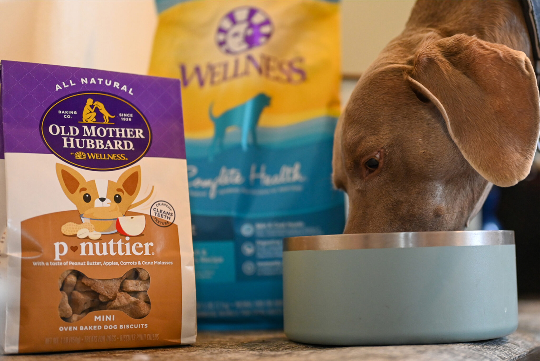 PetSmart Deal Save 20 on Wellness Pet Food & Treats GearJunkie
