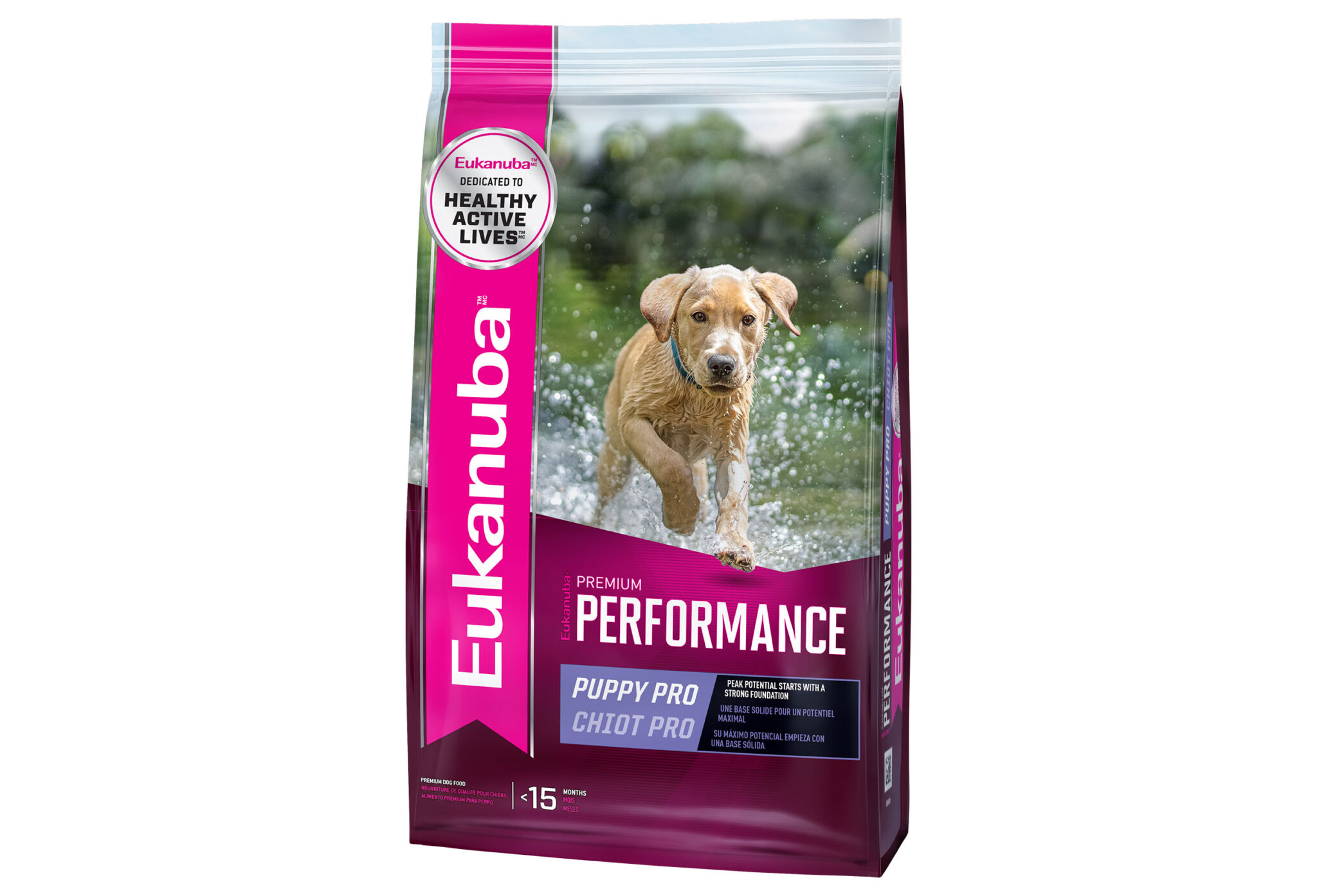 How to Train Your Hunting Pup The Importance of Nutrition GearJunkie