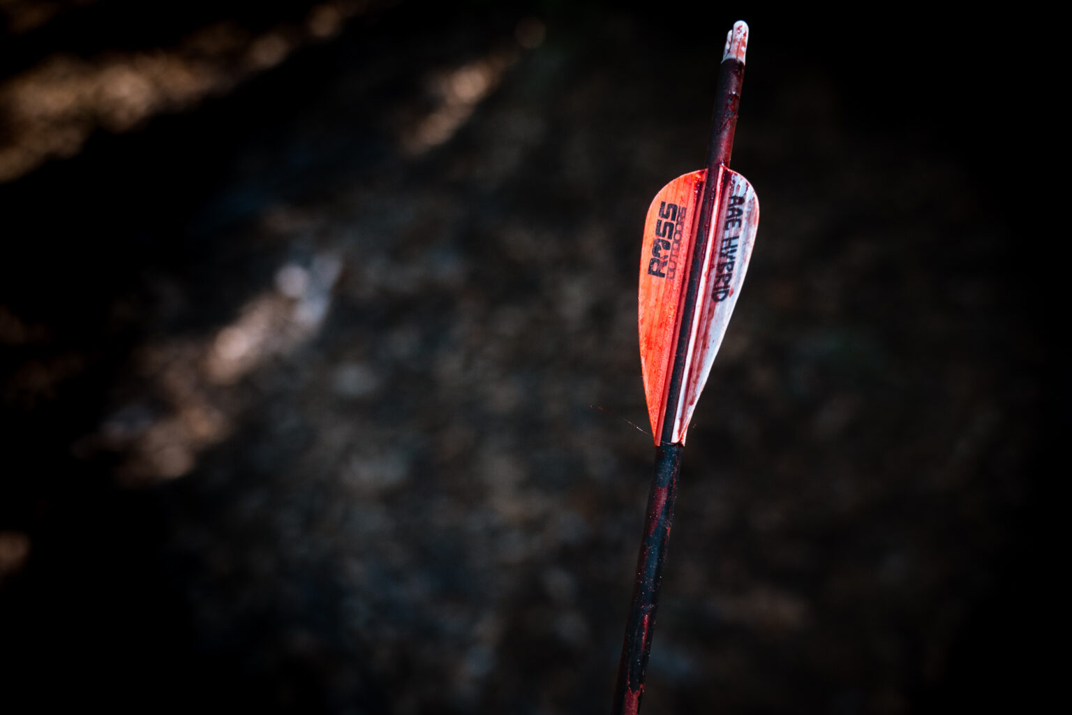 The Best Hunting Arrows of 2025