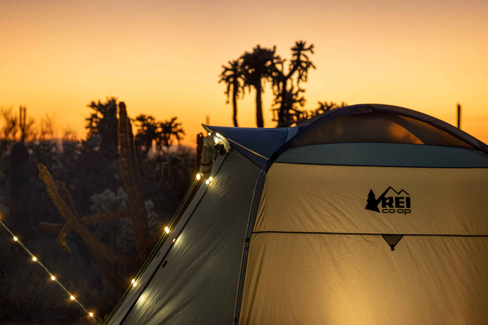 Explainer Series GearJunkie