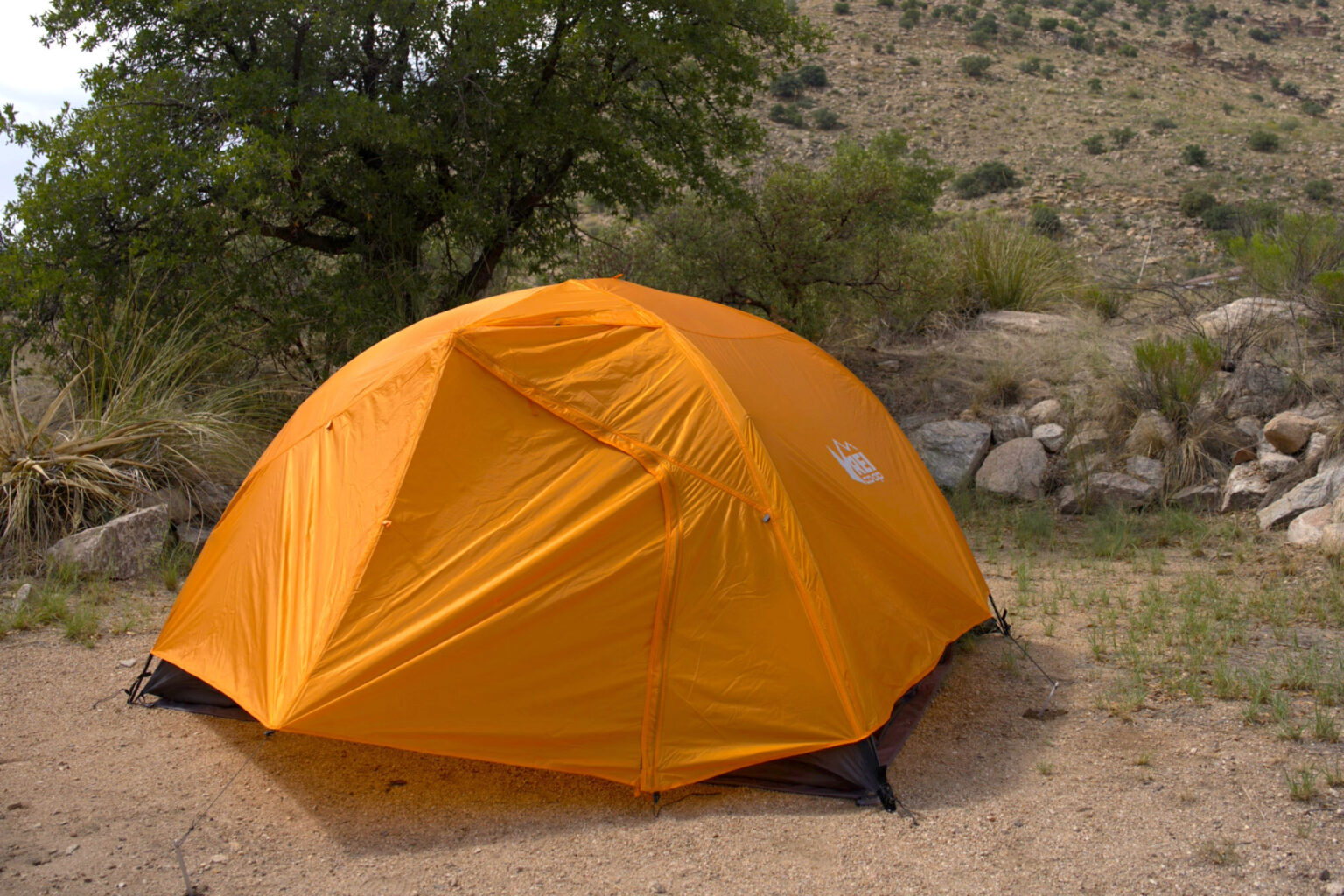 REI Half Dome SL3+ Review A DoItAll Tent GearJunkie