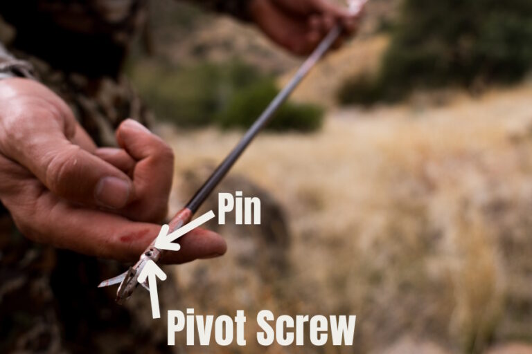 A Hybrid That Flies Evolution Outdoors Hyde Broadhead Review