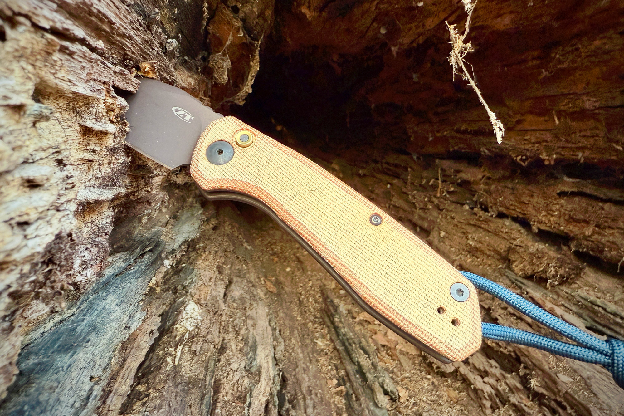 Zero Tolerance 0512: The knife inserted into a crevice in a tree trunk