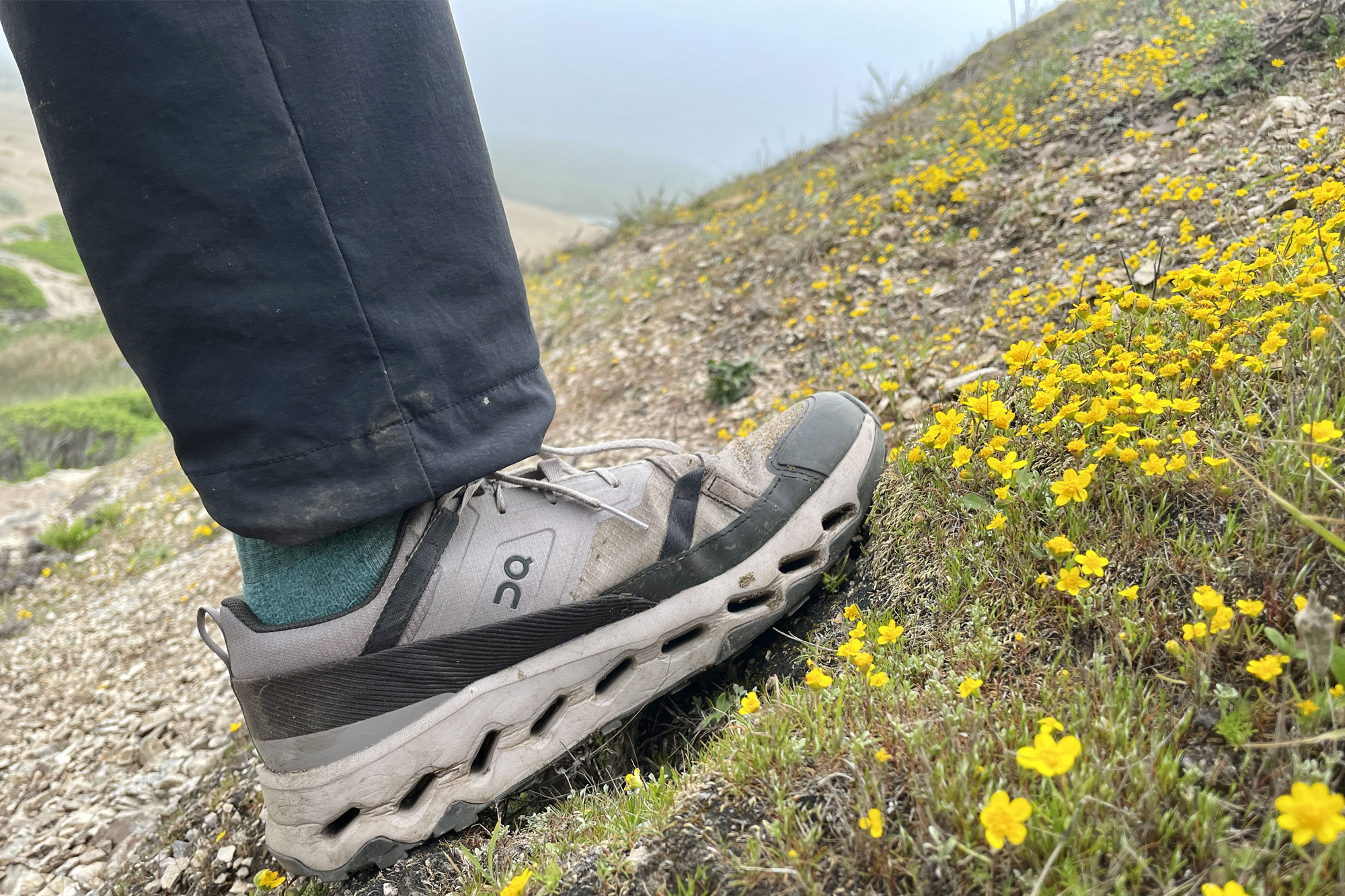 On Cloudhorizon-Waterproof Hiking Shoe cover photo