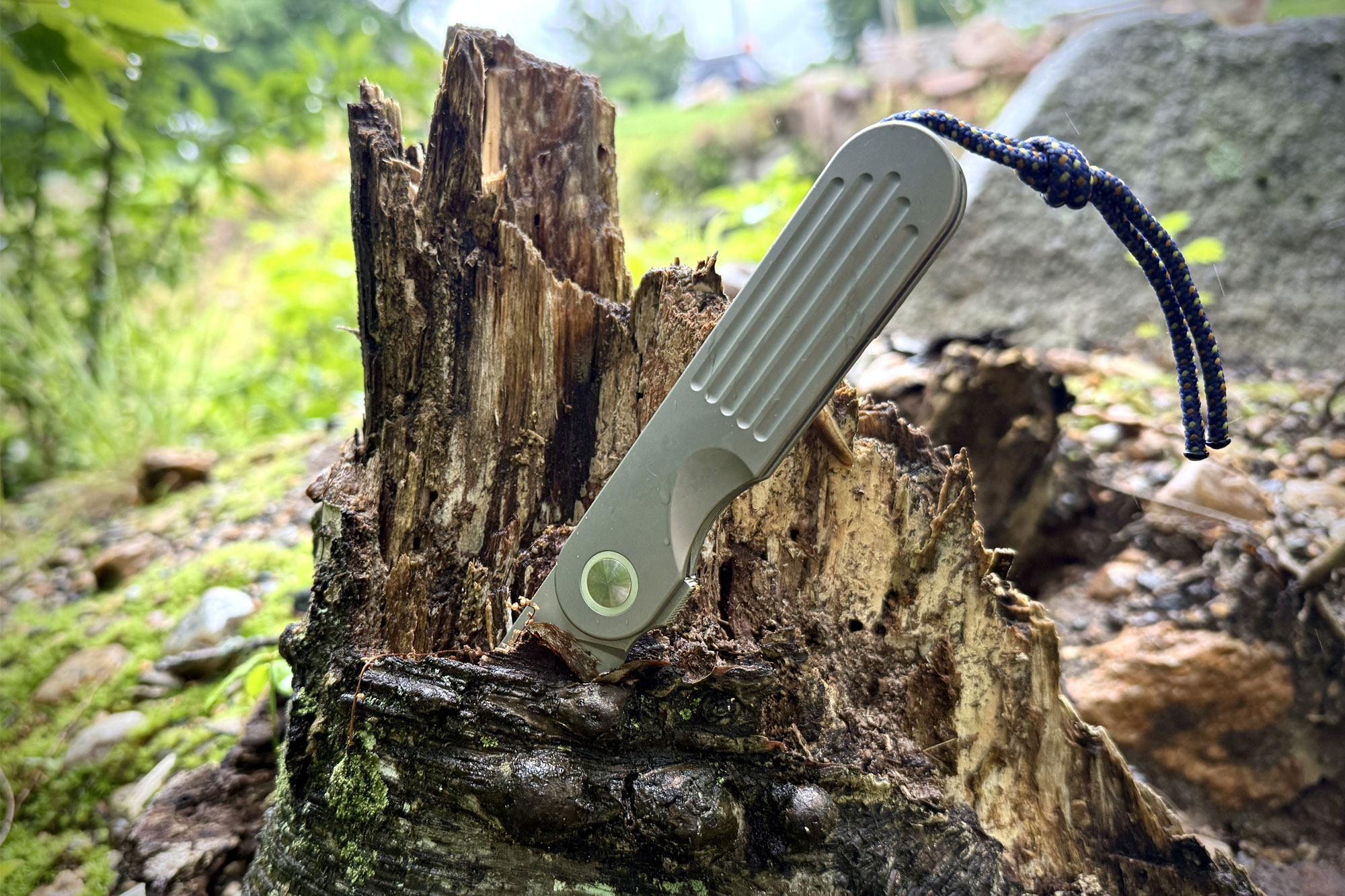 the Terrain 365 Narwhal-AT in a tree