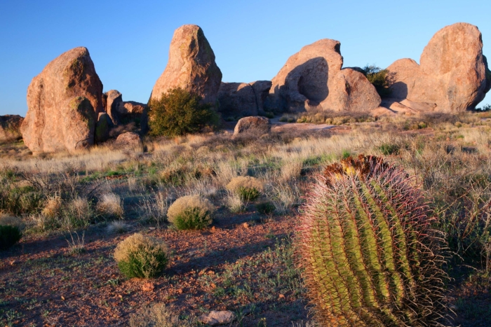 City of Rocks State Park New Mexico