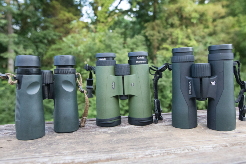 Budget Binoculars Showdown: Vortex vs. Cabela’s