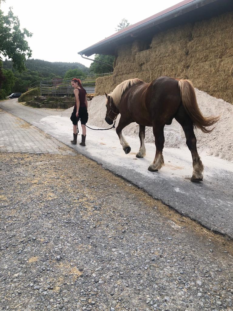 Fuchur and me walking