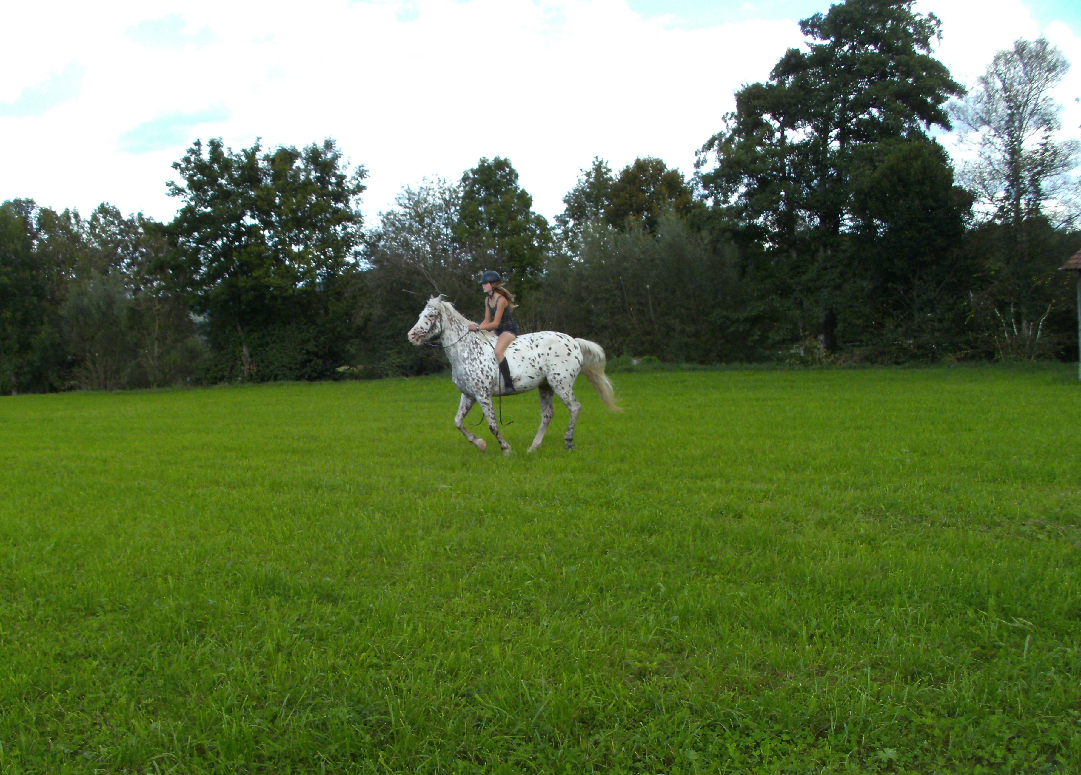 Jasko and me loping
