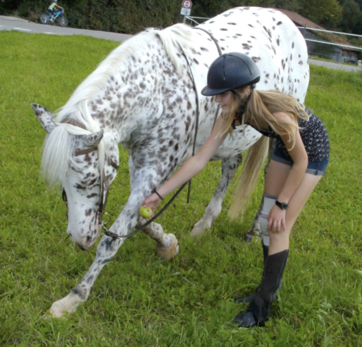 This is one way to mount a tall horse, have them take a bow!