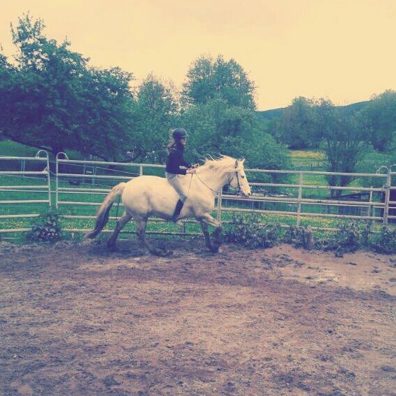 Oz in the mud