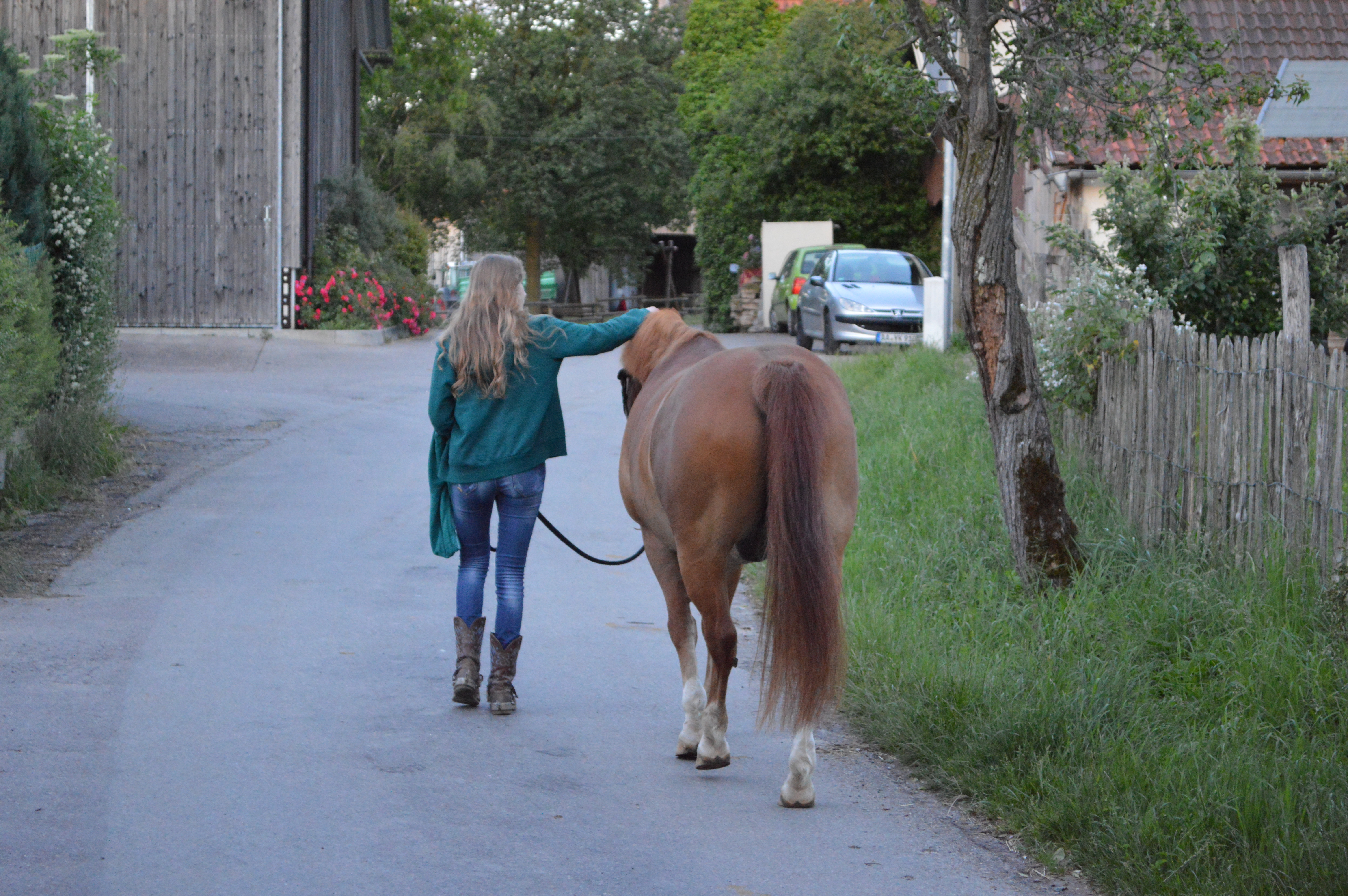 Pico and me walking