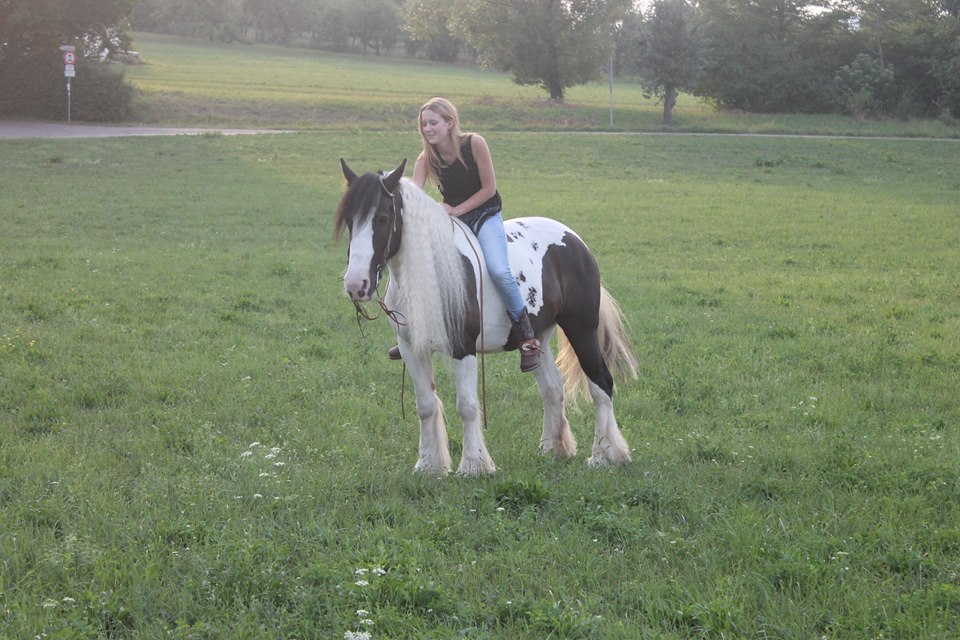 Tralee and me in the field
