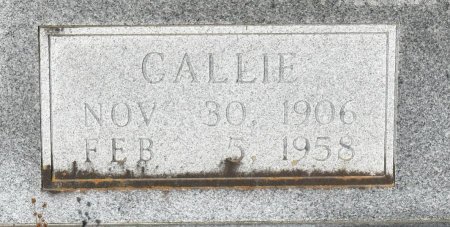 WOLFE, CALLIE (CLOSE UP) - Vernon County, Louisiana | CALLIE (CLOSE UP) WOLFE - Louisiana Gravestone Photos