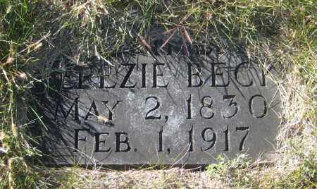 BECK, TEREZIE - Saline County, Nebraska | TEREZIE BECK - Nebraska Gravestone Photos