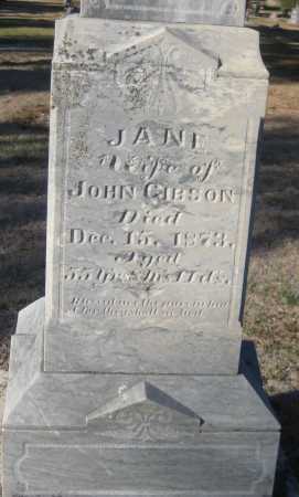 GIBSON, JANE - Saline County, Nebraska | JANE GIBSON - Nebraska Gravestone Photos