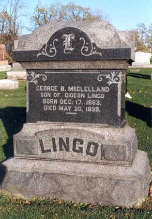 lingo steve lingo steve