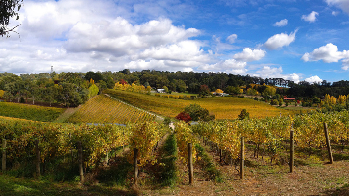 Ashton South Australia