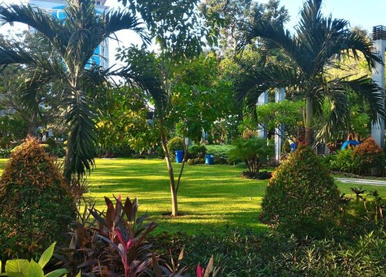 Bungkul Park East Java